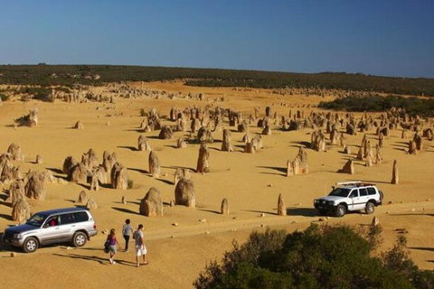 1-Day Pinnacles And Yanchep Tour From Perth Including Fish And Chips Lunch - Book Restaurant 0