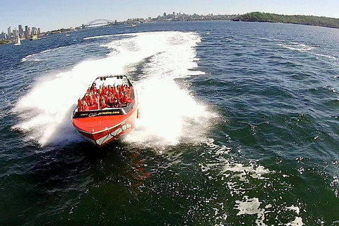 Sydney Harbour Jet Boat Thrill Ride: 30 Minutes - Book Restaurant 0
