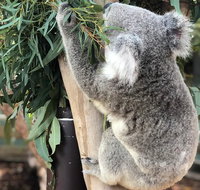 Private Blue Mountains and Wildlife Park Tour from Sydney with Barbecue Lunch - Book Restaurant