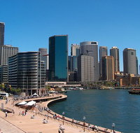 Sydney Half Day Tour with a Local 100 Personalized  Private  - Book Restaurant
