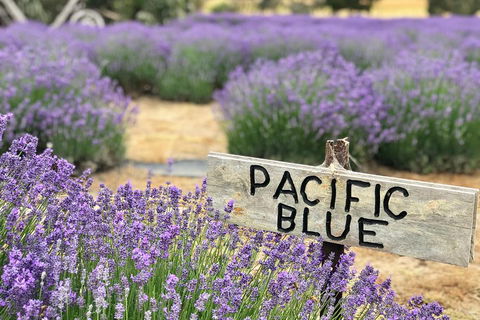 Kangaroo Island Food And Wine Trail Tour - Book Restaurant 0