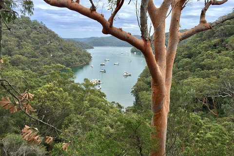 Shore Excursion: Sydney's Northern Beaches & Ku-ring-gai National Park Bus Tour - Book Restaurant 1