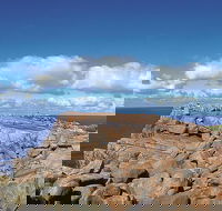 4 Day Tour Albany Margaret River Valley of the Giants TreeTop Walk from Perth - Book Restaurant