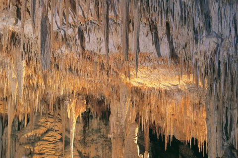 Margaret River, Caves, Wine And Cape Leeuwin Lighthouse Tour From Perth - Book Restaurant 3