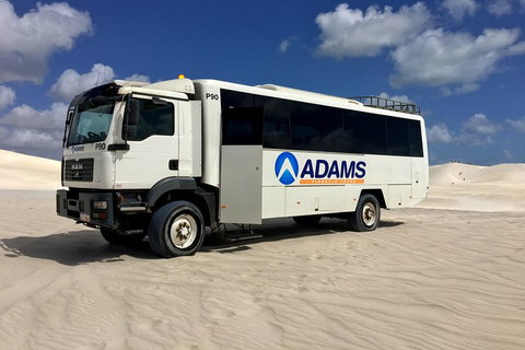 Pinnacles Desert, Koalas And Sandboarding 4WD Day Tour From Perth - Book Restaurant 2