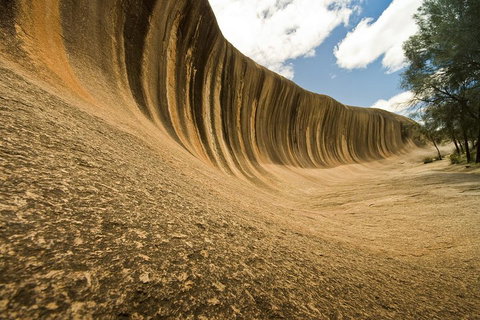 2-Day Wave Rock, York, Wildflowers & Aboriginal Experience - Book Restaurant 1