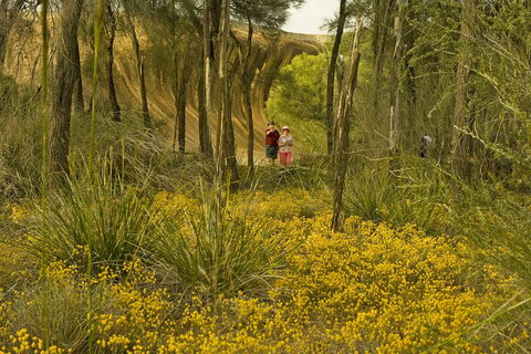 2-Day Wave Rock, York, Wildflowers & Aboriginal Experience - Book Restaurant 2