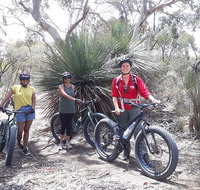 2 Hour Bike Tour in Kangaroo Island - Book Restaurant
