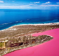 Pink Lake Small-Group Buggy Tour - Book Restaurant