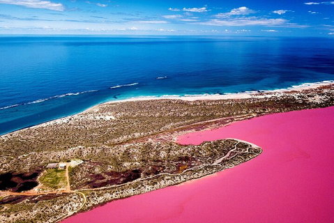 Pink Lake Small-Group Buggy Tour - Book Restaurant 0