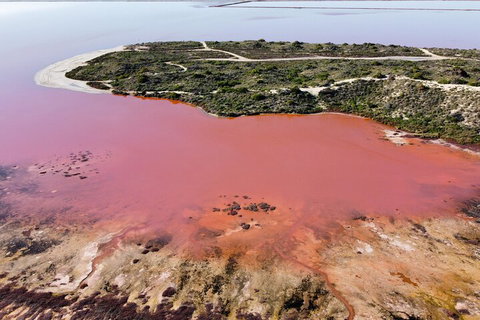 Pink Lake Small-Group Buggy Tour - Book Restaurant 2