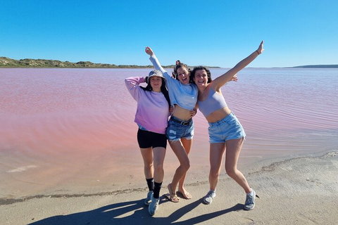 Pink Lake Small-Group Buggy Tour - Book Restaurant 3