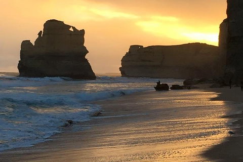 Great Ocean Road Small-Group Ecotour From Melbourne - Book Restaurant 5