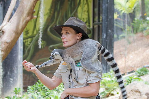 Currumbin Wildlife Sanctuary General Entry Ticket - Book Restaurant 1