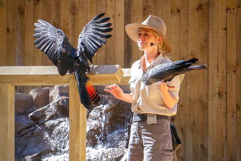 Currumbin Wildlife Sanctuary General Entry Ticket - Book Restaurant 4