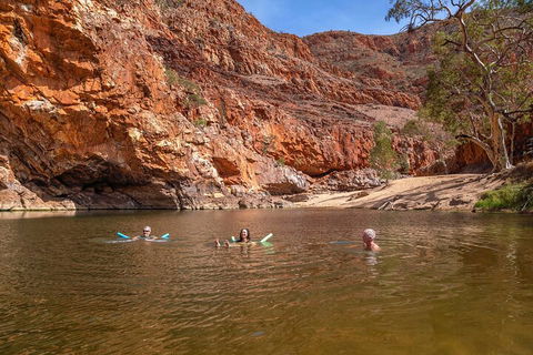 Private 9 Hour Walk And Waterhole Tour In West MacDonnell Ranges - Book Restaurant 2