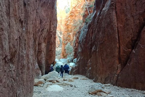 West MacDonnell Private Tour With Transfer - Book Restaurant 0
