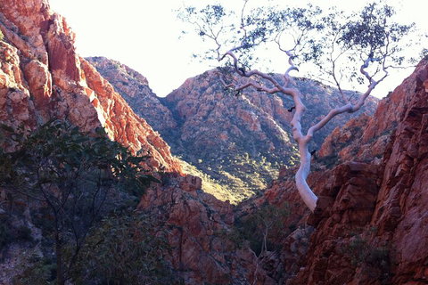 West MacDonnell Private Tour With Transfer - Book Restaurant 3