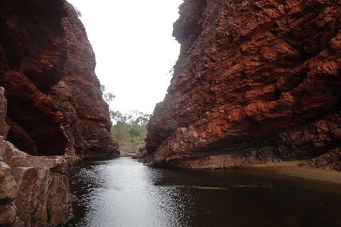 West MacDonnell Ranges Half - Day Tour - Book Restaurant 4