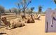 West MacDonnell Ranges Half-Day Small-Group Tour With Camel Ride - thumb 0