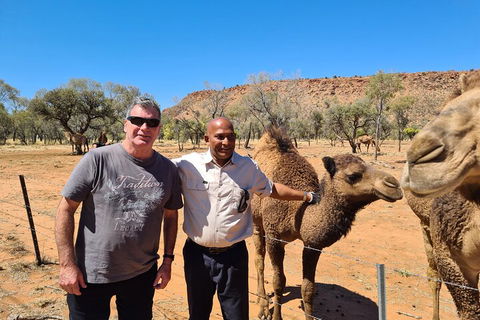 West MacDonnell Ranges Half-Day Small-Group Tour With Camel Ride - Book Restaurant 1
