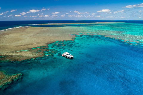 Calypso Outer Great Barrier Reef Cruise From Port Douglas - Book Restaurant 1