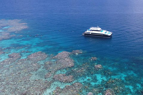 Calypso Outer Great Barrier Reef Cruise From Port Douglas - Book Restaurant 4
