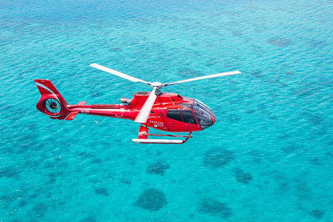 Cruise To Moore Reef Pontoon And Return Helicopter Flight From Cairns - Book Restaurant 1