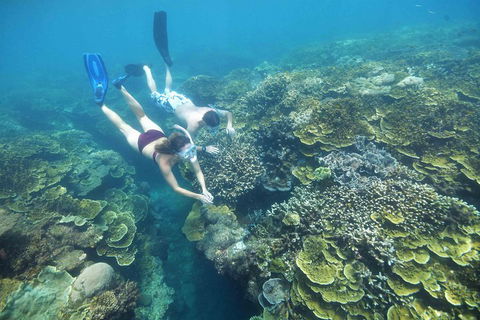 Cruise To Moore Reef Pontoon And Return Helicopter Flight From Cairns - Book Restaurant 3