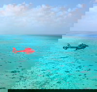Port Douglas Scenic Flights - Book Restaurant
