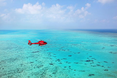 Port Douglas - Cruise And 10 Minute Scenic Flight - Book Restaurant 1
