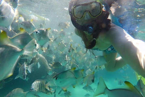 2-Day Moreton Island 4WD Camping Tour From Brisbane - Book Restaurant 0