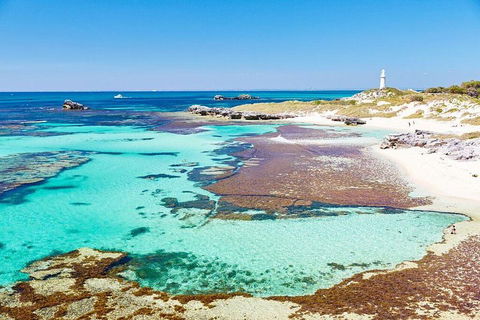 Fremantle To Rottnest Island Roundtrip Ferry Ticket - Book Restaurant 2