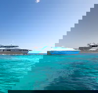 Rottnest Island Bike Snorkel  Ferry Package from Fremantle - Book Restaurant