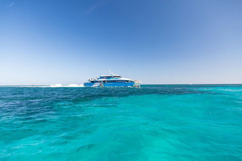 Rottnest Island Fortress Adventure Segway Package From Fremantle - Book Restaurant 0