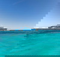 Rottnest Island Bayseeker Day Trip from Perth - Book Restaurant