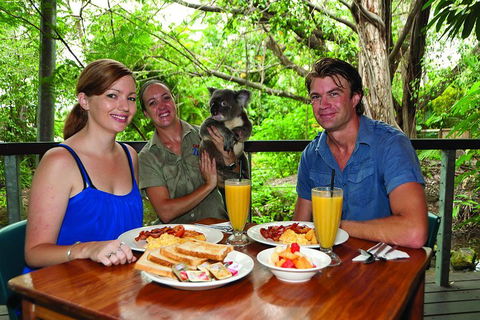 Breakfast With The Koalas At Hartley's Crocodile Park From Cairns Or Palm Cove - Book Restaurant 0