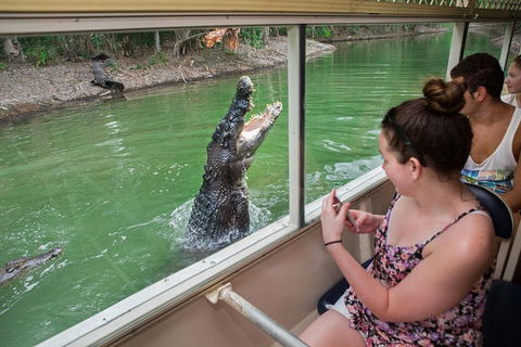 Hartley's Crocodile Adventures Day Trip From Cairns - Book Restaurant 3
