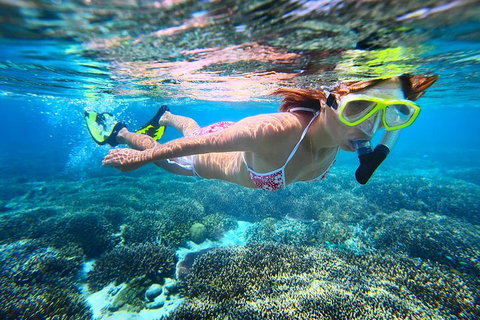 Abrolhos Islands Scenic Flight & Snorkel Adventure From Perth - Book Restaurant 1