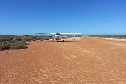 Abrolhos Islands Scenic Flight & Snorkel Adventure From Perth - Book Restaurant 3
