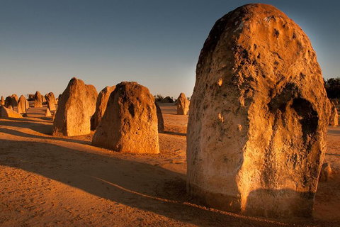 Wave Rock And Pinnacles Air & Ground Tour - Book Restaurant 1