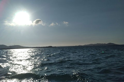 Townsville Small Group Early Morning Sailing Cruise Boat Tour Charter Hire - Book Restaurant 4