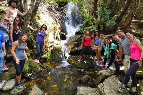 7-Day Super Value Tour Of Tasmania: Explore Tasmania's West And East Coasts - Book Restaurant 2