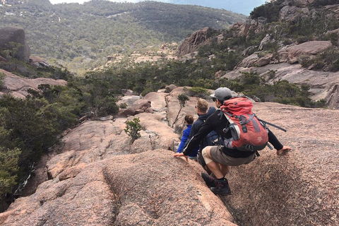 2-Day Tas East Coast Escape Tour Including Bay Of Fires, Wineglass Bay & Devils - Book Restaurant 2