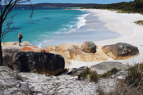 2-Day Tas East Coast Escape Tour Including Bay Of Fires, Wineglass Bay & Devils - Book Restaurant 4