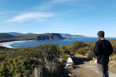 4-Day Fabulous Tasmania Tour: Wineglass Bay, Port Arthur, Devils & Bruny Island - Book Restaurant 0
