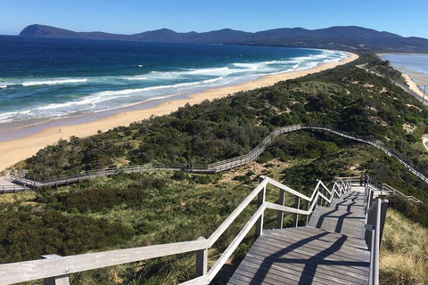 4-Day Fabulous Tasmania Tour: Wineglass Bay, Port Arthur, Devils & Bruny Island - Book Restaurant 5