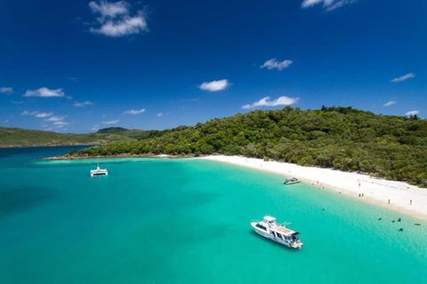 Whitehaven Beach And Hill Inlet | Awesome Beach BBQ | Family Friendly - Book Restaurant 3