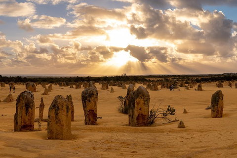 Half Day Pinnacles Sunset Tour - Book Restaurant 0