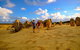 Half Day Pinnacles Sunset Tour - thumb 1